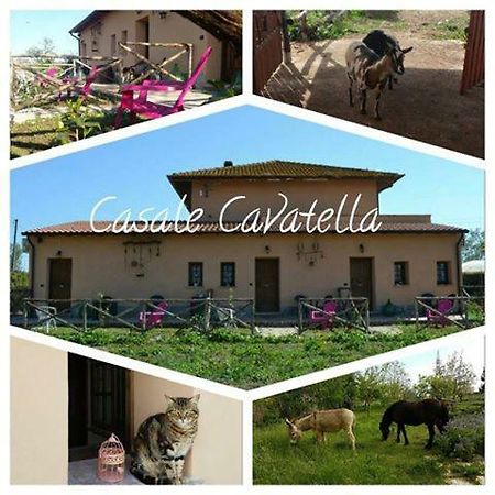 Bed and Breakfast Casale Cavatella Sermoneta Exterior foto