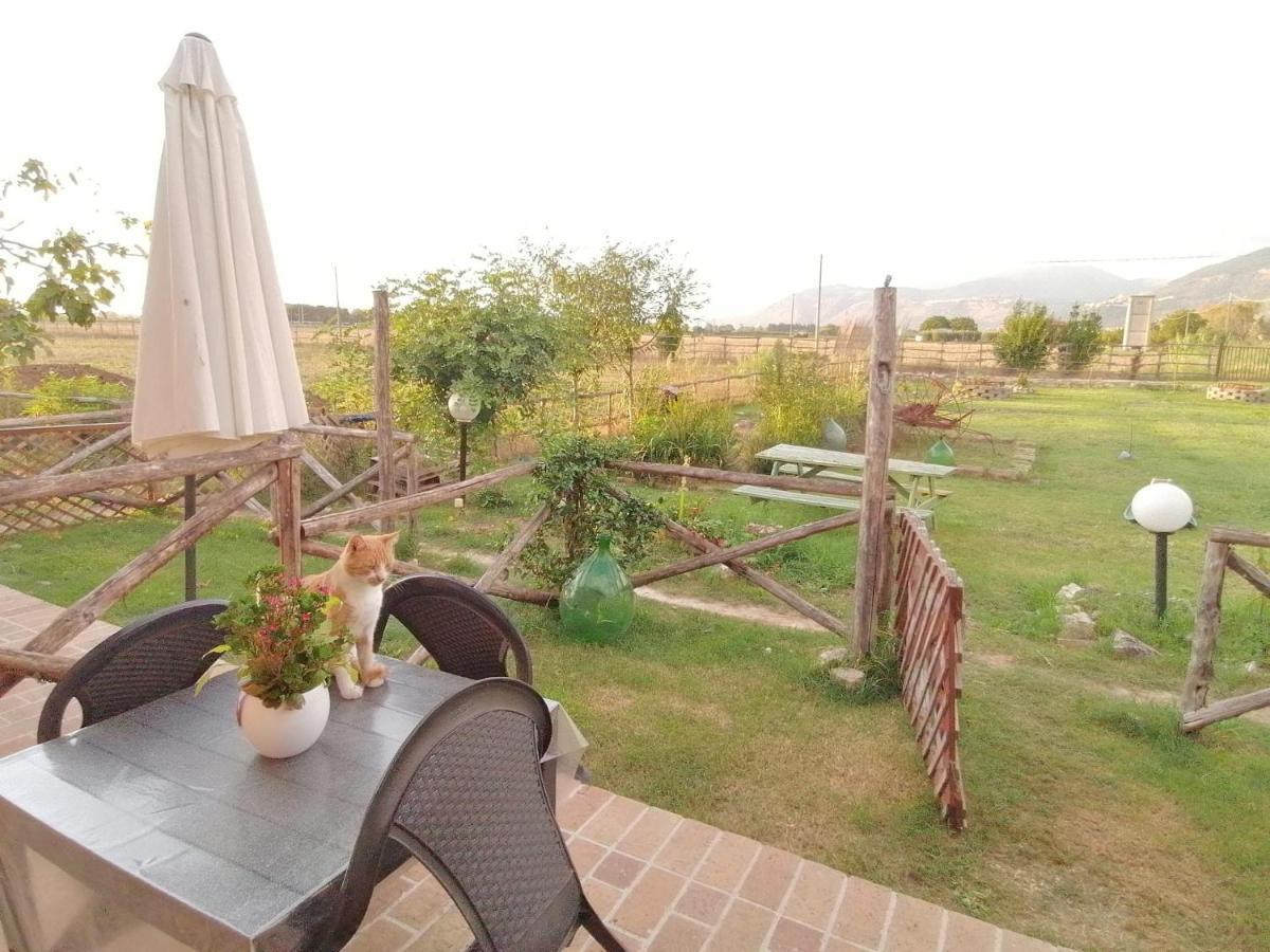 Bed and Breakfast Casale Cavatella Sermoneta Exterior foto